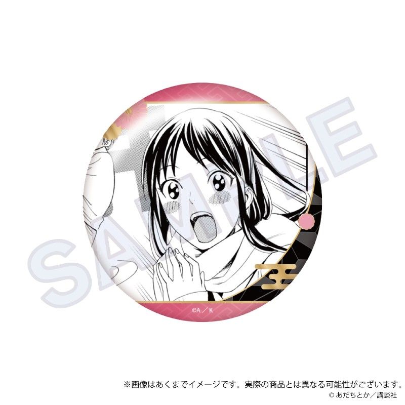 ノラガミ コレクション缶バッジ Vol.2 壱岐ひより｜アニメ