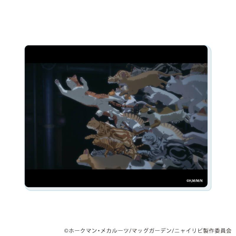 アクリルカード「TVアニメ『ニャイト・オブ・ザ・リビングキャット』」01/コンプリートセット(全6種)(場面写イラスト)