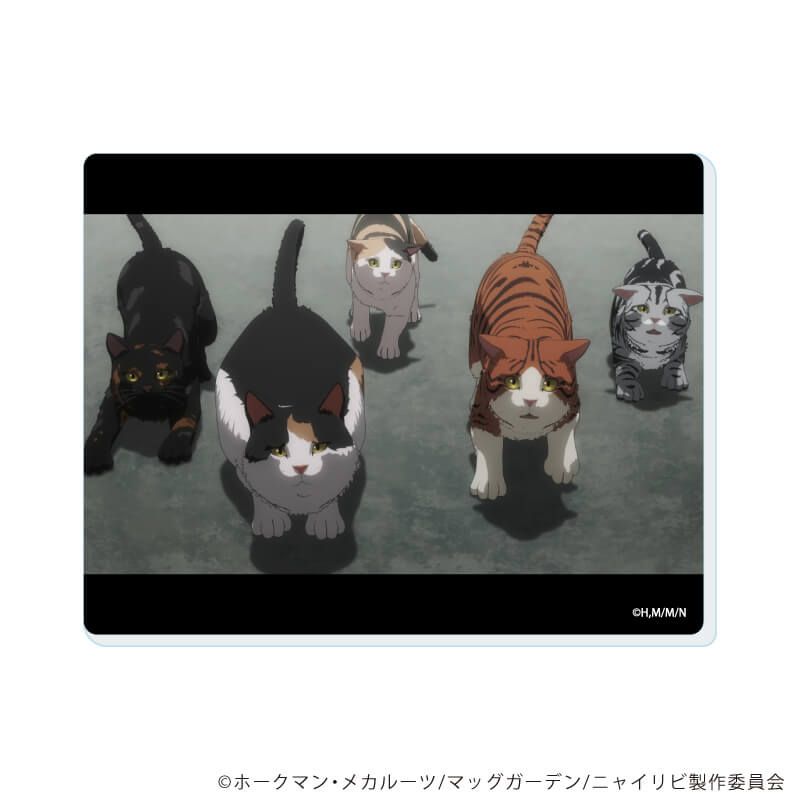 アクリルカード「TVアニメ『ニャイト・オブ・ザ・リビングキャット』」01/コンプリートセット(全6種)(場面写イラスト)