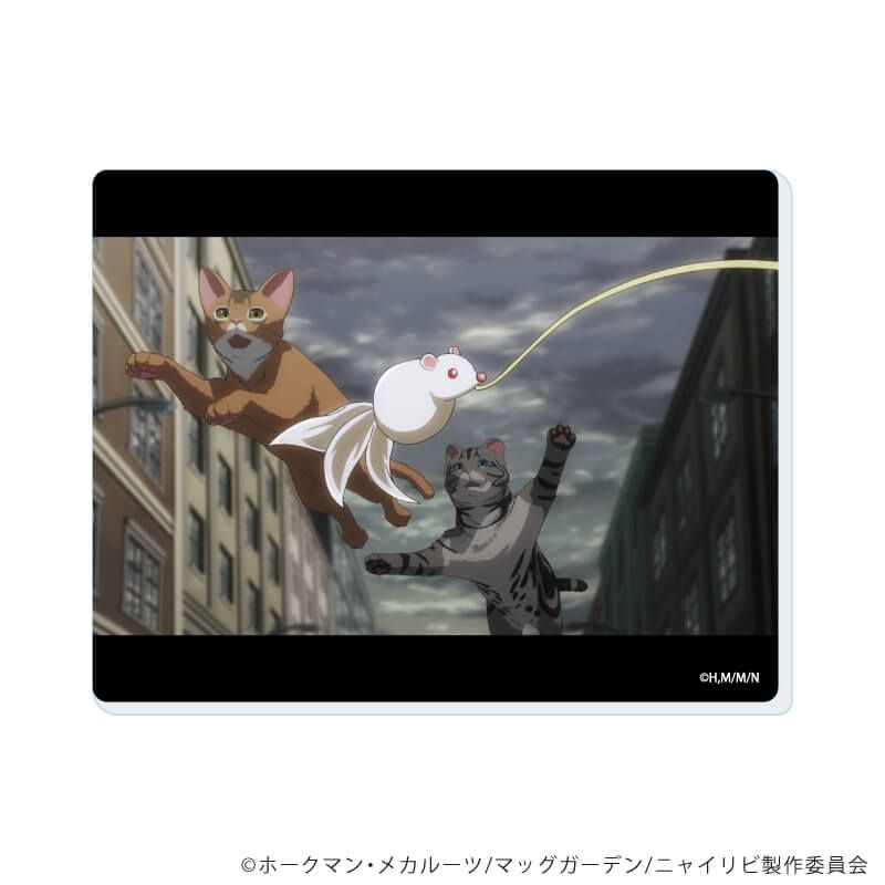 アクリルカード「TVアニメ『ニャイト・オブ・ザ・リビングキャット』」01/コンプリートセット(全6種)(場面写イラスト)