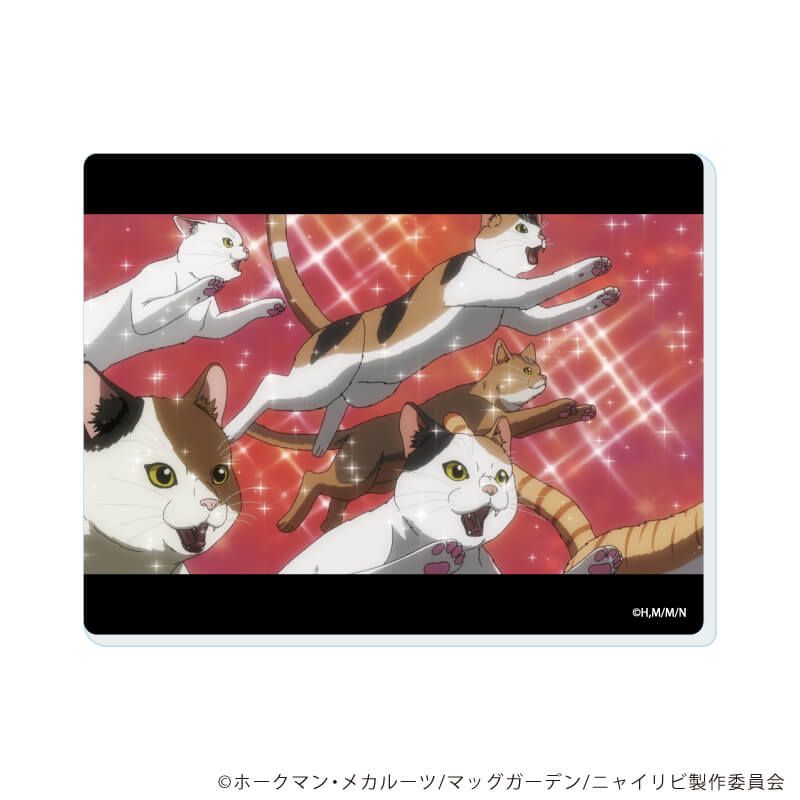 アクリルカード「TVアニメ『ニャイト・オブ・ザ・リビングキャット』」01/コンプリートセット(全6種)(場面写イラスト)