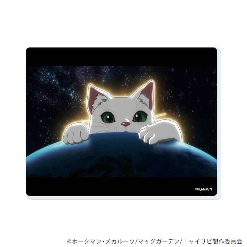 アクリルカード「TVアニメ『ニャイト・オブ・ザ・リビングキャット』」01/コンプリートセット(全6種)(場面写イラスト)