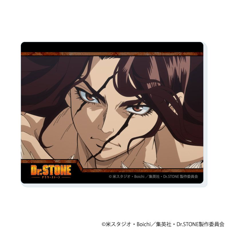 アクリルカード「Dr.STONE」14/コンプリートセット(全8種)(場面写イラスト)