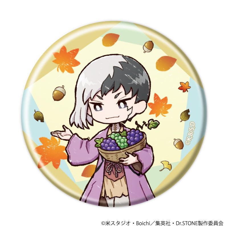 缶バッジ「Dr.STONE」33/秋ver. コンプリートセット(全10種)(グラフアートイラスト)