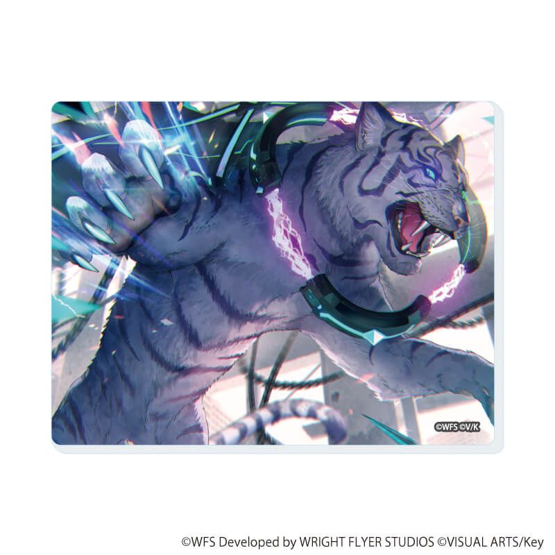 アクリルカード「ヘブンバーンズレッド」03/第31B部隊 コンプリートセット(全6種)(公式イラスト)