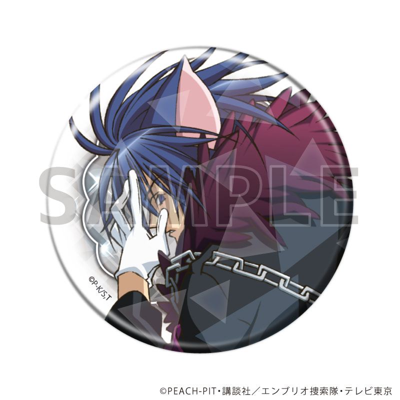 ホログラム缶バッジ(57mm)「TVアニメ『しゅごキャラ！』」01/コンプリートセット(全13種)(公式イラスト)