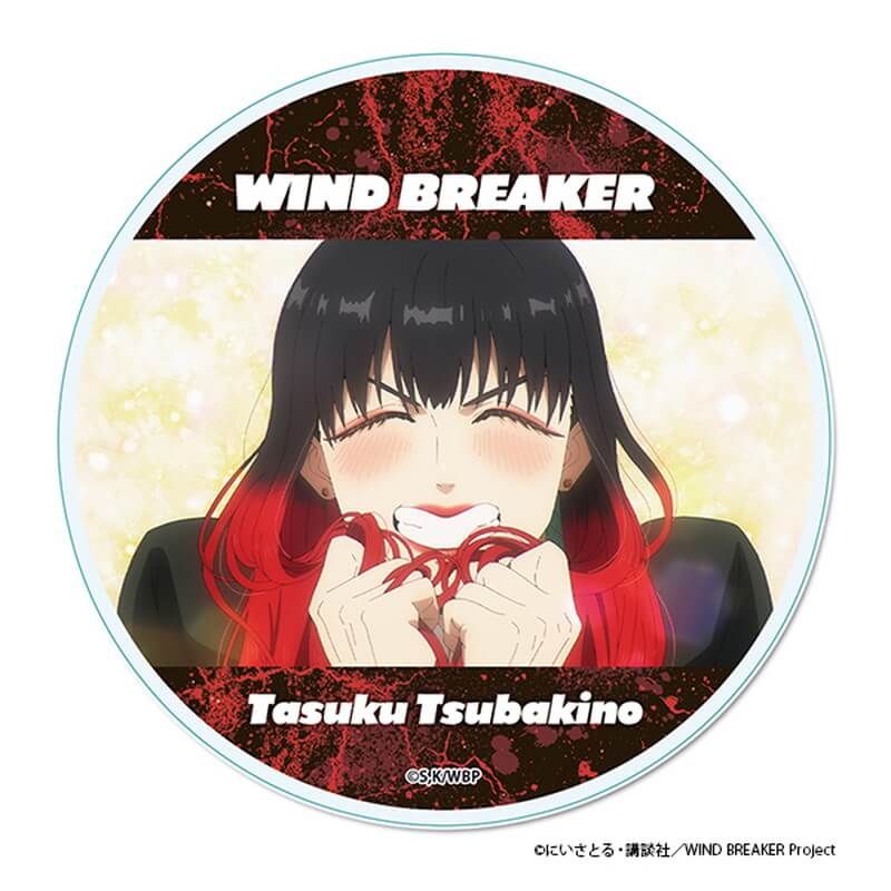 WIND BREAKER アクリルコースター【B】