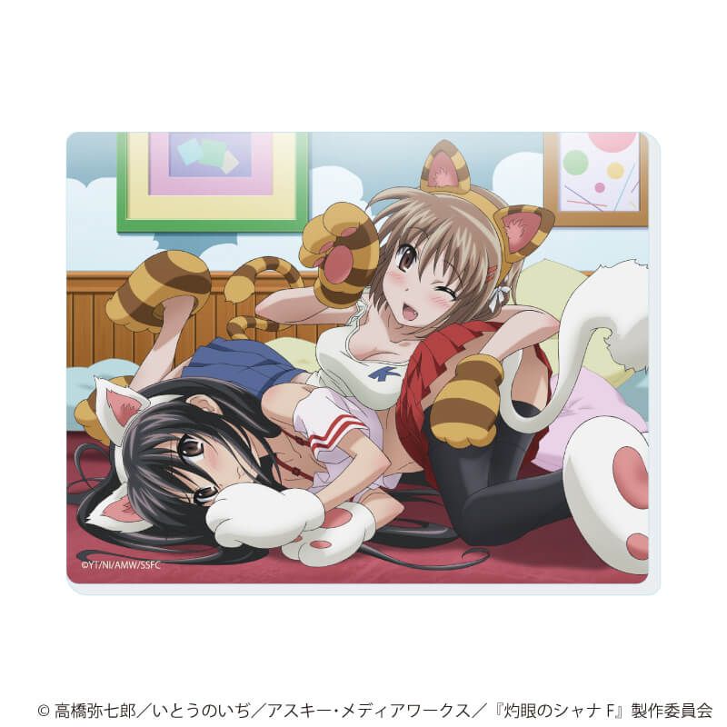 アクリルカード「灼眼のシャナ」01/コンプリートセット(全6種)(公式&描き下ろしイラスト)