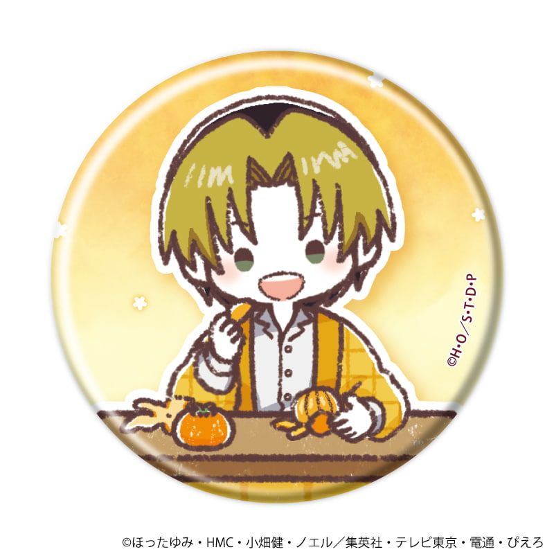 缶バッジ「ヒカルの碁」49/こたつver. ブラインド(7種)(グラフアートイラスト)