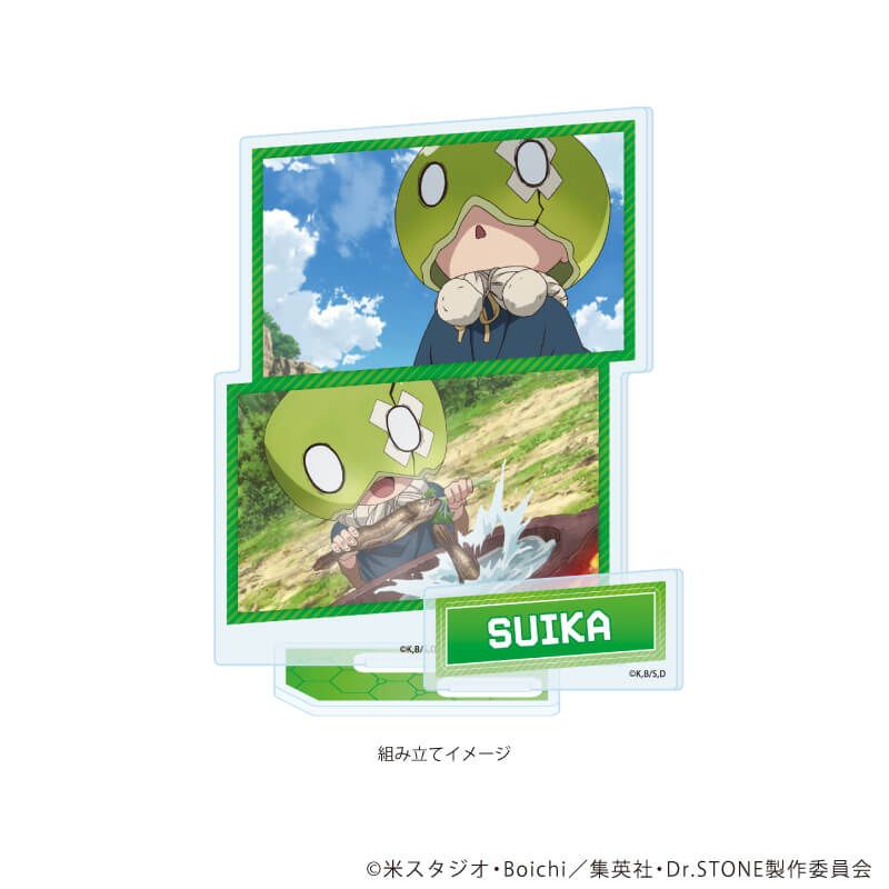 アクリルスタンドプレート「Dr.STONE」13/スイカ(場面写イラスト)