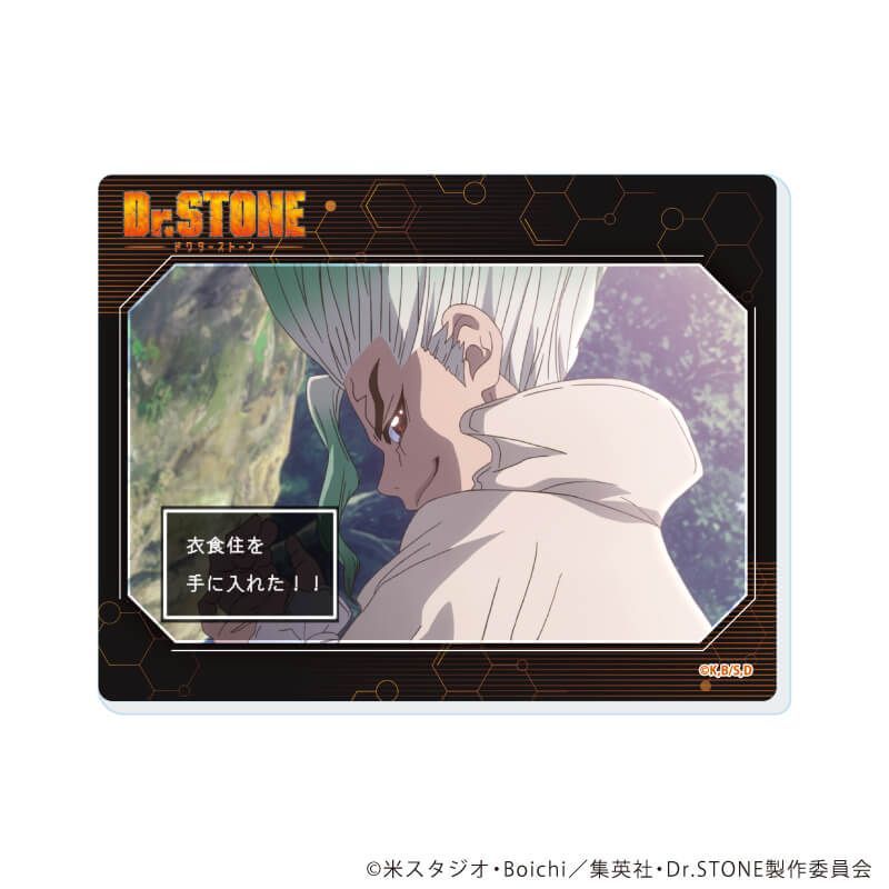 アクリルカード「Dr.STONE」15/コンプリートセット(全12種)(場面写イラスト)