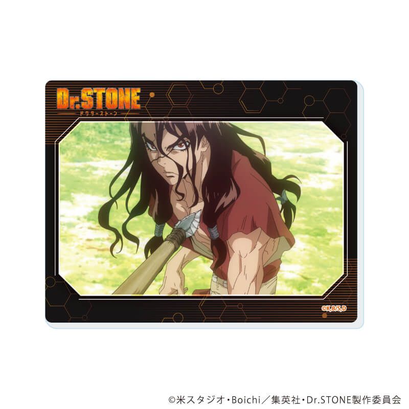 アクリルカード「Dr.STONE」15/コンプリートセット(全12種)(場面写イラスト)