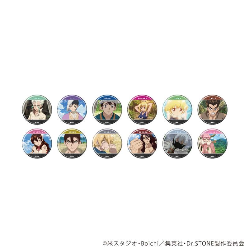 缶バッジ「Dr.STONE」35/コンプリートセット(全12種)(場面写イラスト)