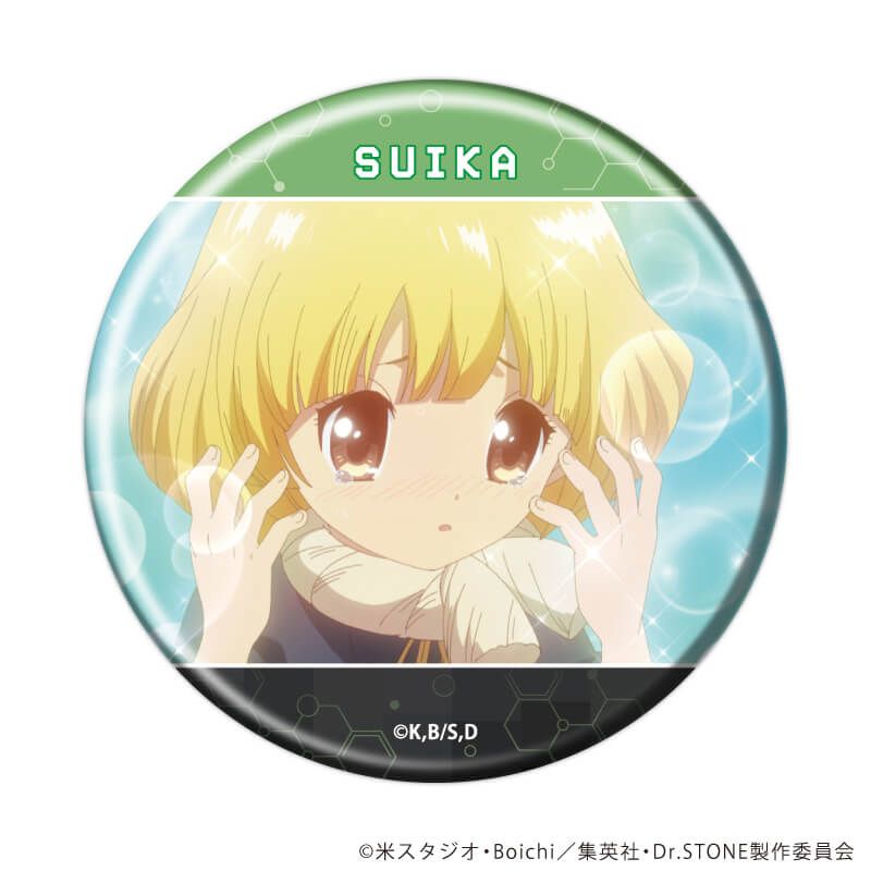 缶バッジ「Dr.STONE」35/コンプリートセット(全12種)(場面写イラスト)