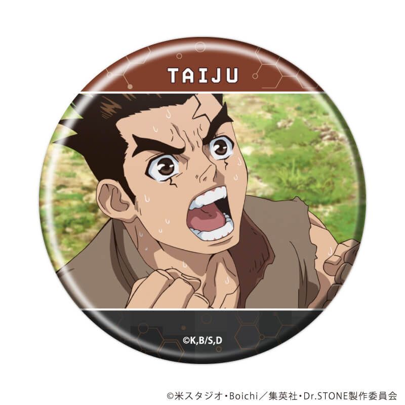 缶バッジ「Dr.STONE」36/コンプリートセット(全12種)(場面写イラスト)