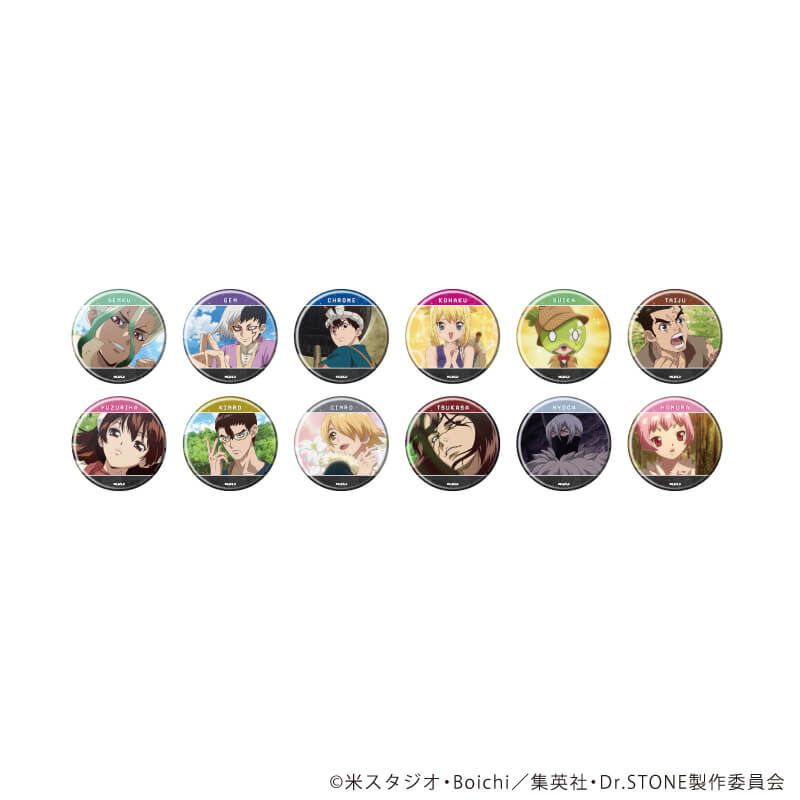 缶バッジ「Dr.STONE」36/ブラインド(12種)(場面写イラスト)