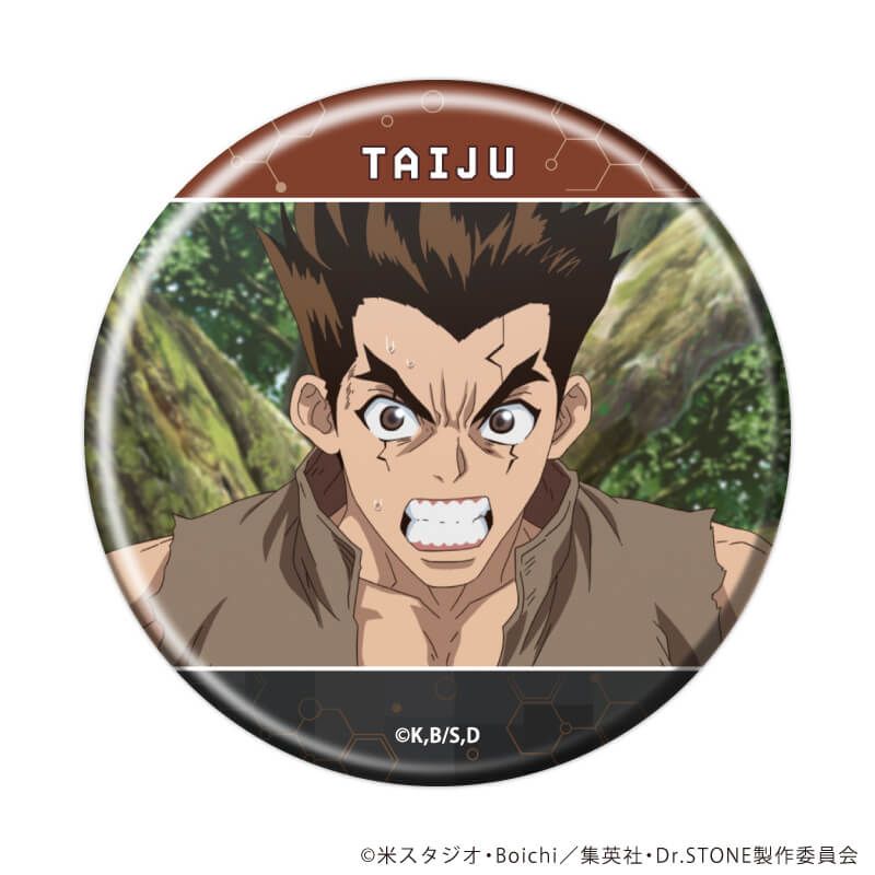 缶バッジ「Dr.STONE」35/ブラインド(12種)(場面写イラスト)