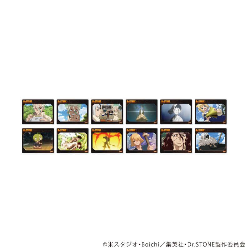 アクリルカード「Dr.STONE」16/コンプリートセット(全12種)(場面写イラスト)