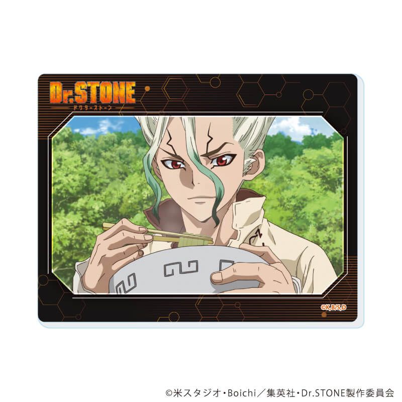 アクリルカード「Dr.STONE」16/コンプリートセット(全12種)(場面写イラスト)