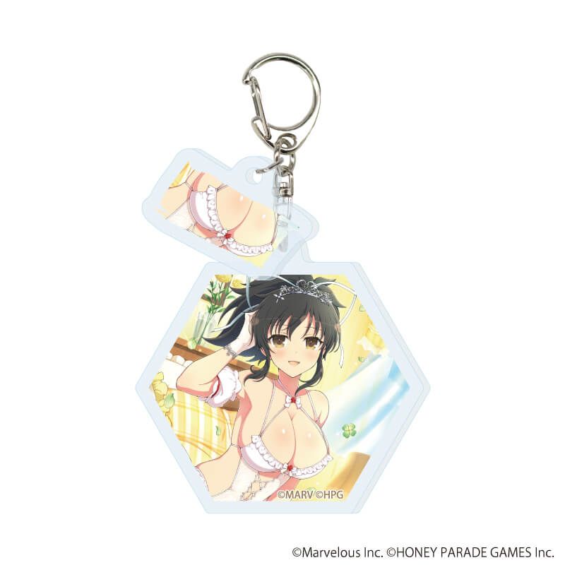 パイ付きアクリルキーホルダー「シノビマスター 閃乱カグラ NEW LINK」04/コンプリートセット(全10種)(公式イラスト)