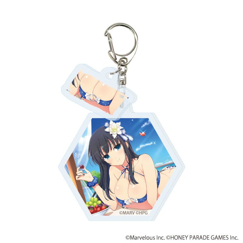 パイ付きアクリルキーホルダー「シノビマスター 閃乱カグラ NEW LINK」04/コンプリートセット(全10種)(公式イラスト)