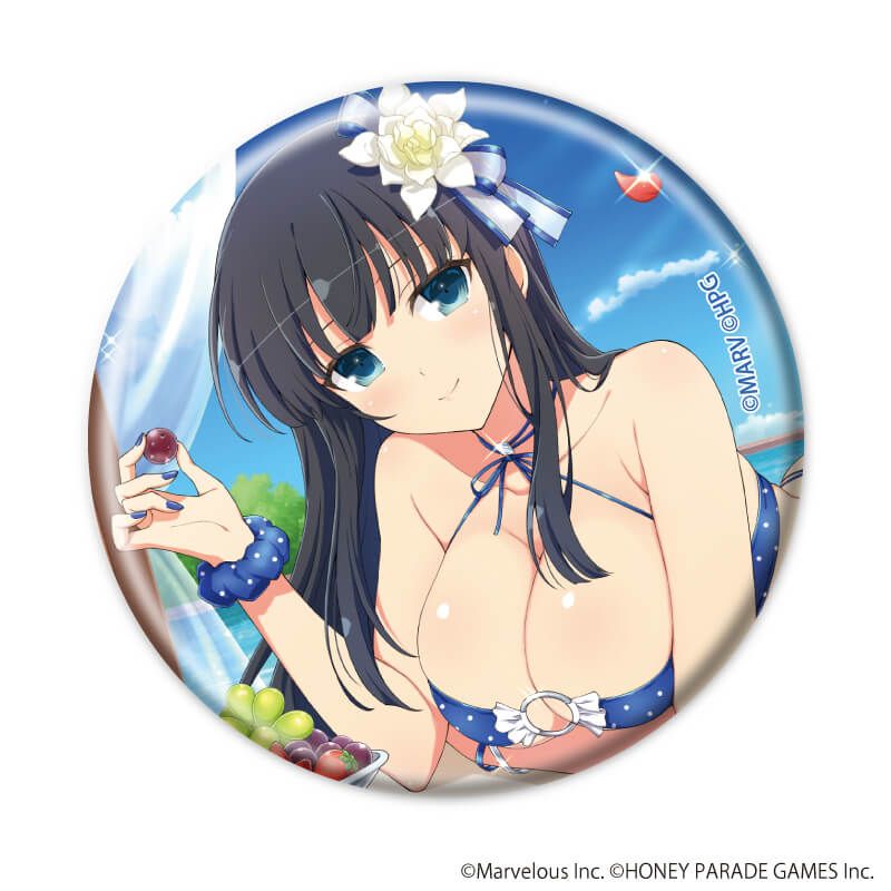 缶バッジ「シノビマスター 閃乱カグラ NEW LINK」18/コンプリートセット(全10種)(公式イラスト)