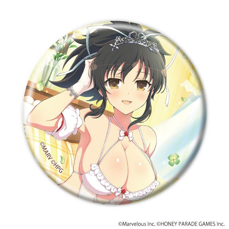 缶バッジ「シノビマスター 閃乱カグラ NEW LINK」18/ブラインド(10種)(公式イラスト)