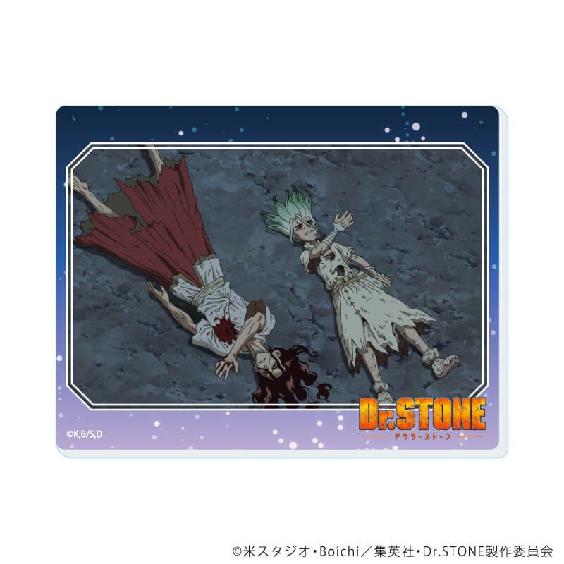 アクリルカード「Dr.STONE」17/コンプリートセット(全13種)(場面写イラスト)