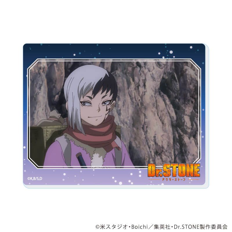 アクリルカード「Dr.STONE」17/コンプリートセット(全13種)(場面写イラスト)