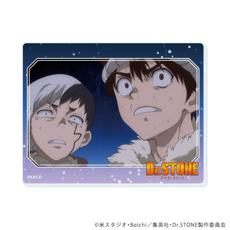 アクリルカード「Dr.STONE」17/コンプリートセット(全13種)(場面写イラスト)