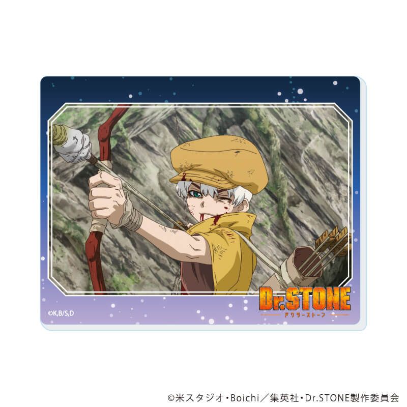 アクリルカード「Dr.STONE」17/コンプリートセット(全13種)(場面写イラスト)