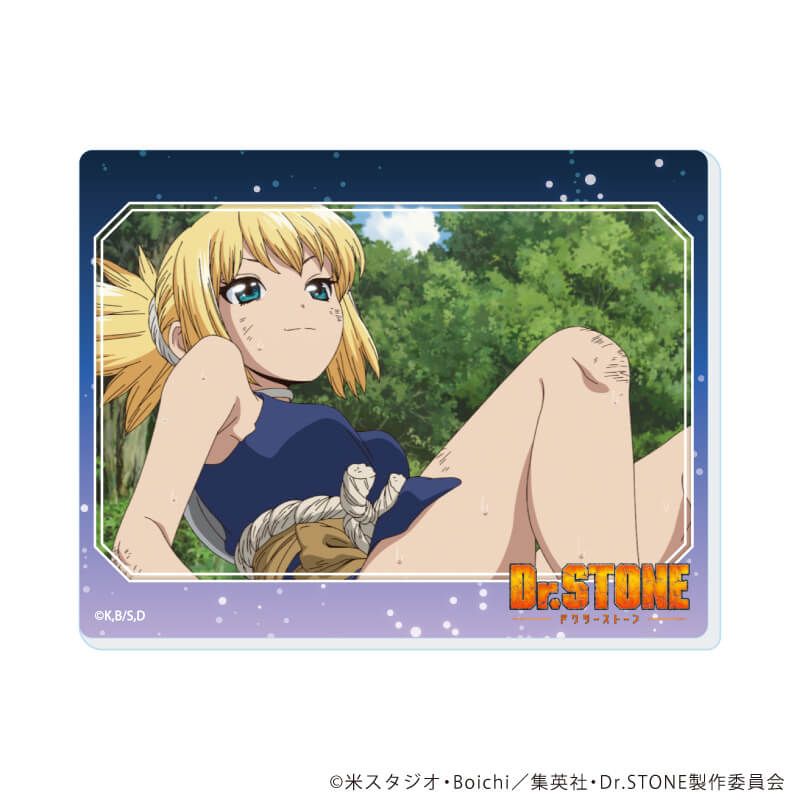 アクリルカード「Dr.STONE」17/コンプリートセット(全13種)(場面写イラスト)