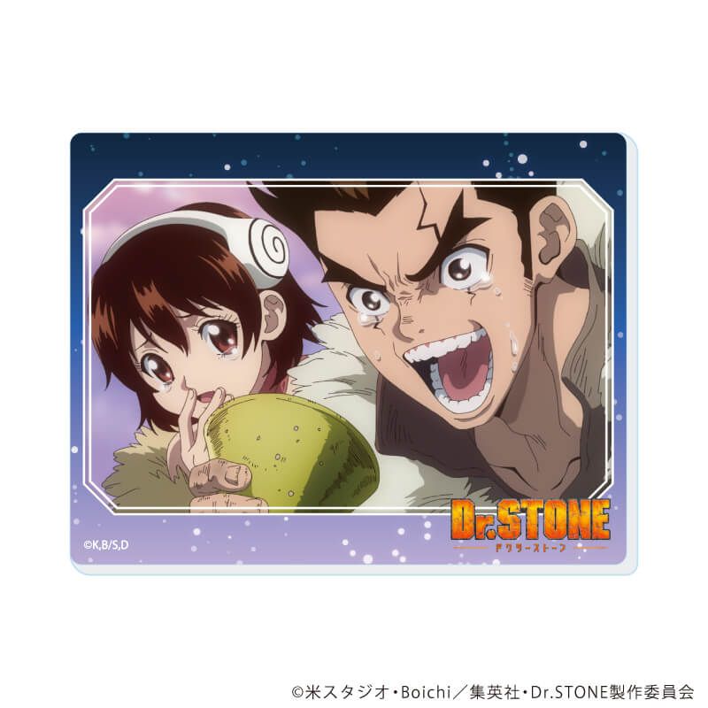 アクリルカード「Dr.STONE」17/コンプリートセット(全13種)(場面写イラスト)