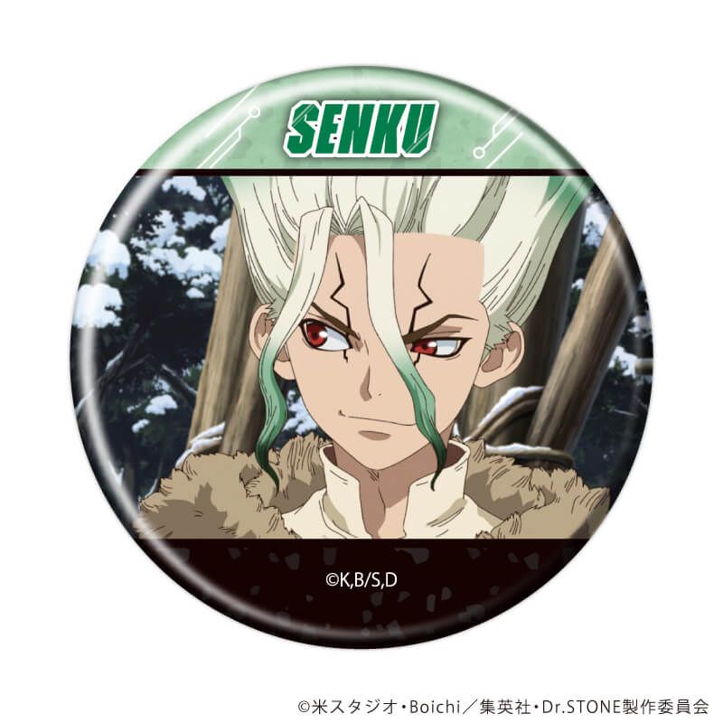 缶バッジ「Dr.STONE」37/コンプリートセット(全13種)(場面写イラスト)
