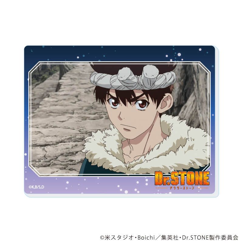 アクリルカード「Dr.STONE」17/ブラインド(13種)(場面写イラスト)