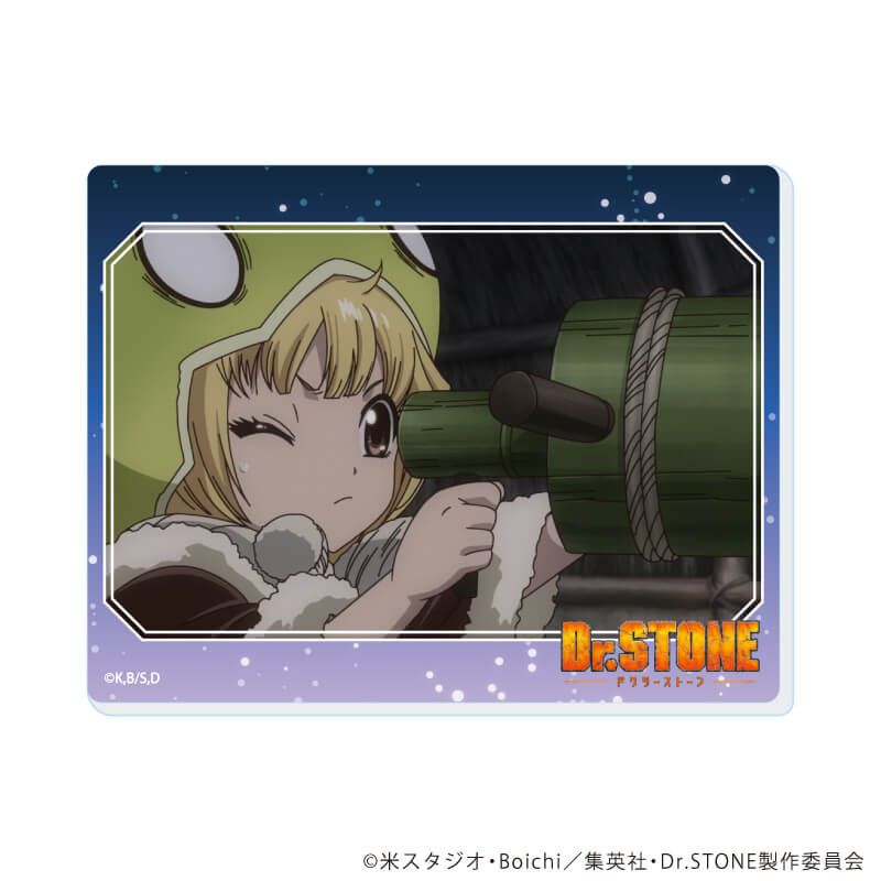 アクリルカード「Dr.STONE」17/ブラインド(13種)(場面写イラスト)