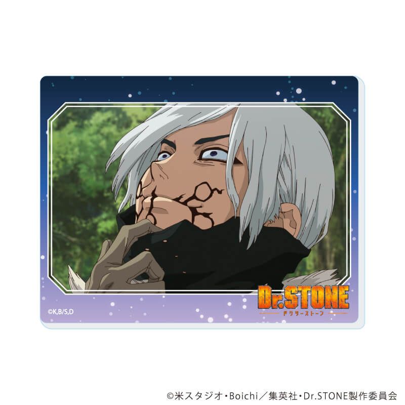 アクリルカード「Dr.STONE」17/ブラインド(13種)(場面写イラスト)