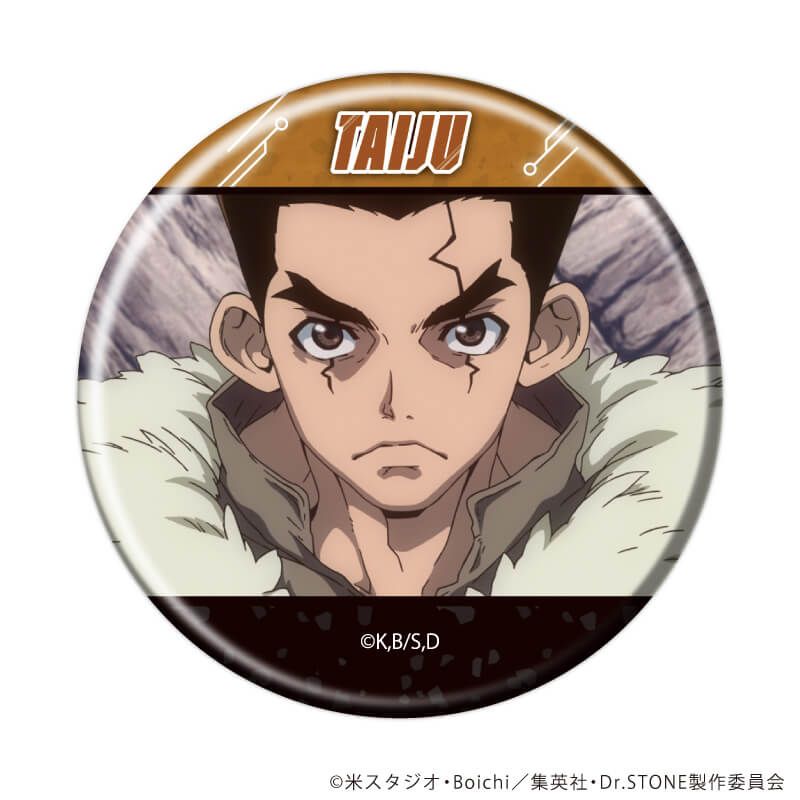 缶バッジ「Dr.STONE」37/ブラインド(13種)(場面写イラスト)