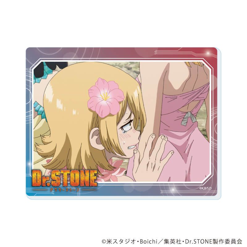 アクリルカード「Dr.STONE」19/コンプリートセット(全11種)(場面写イラスト)