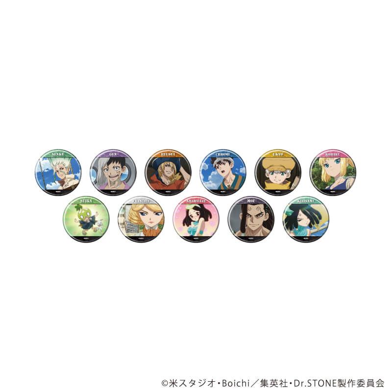 缶バッジ「Dr.STONE」39/コンプリートセット(全11種)(場面写イラスト)