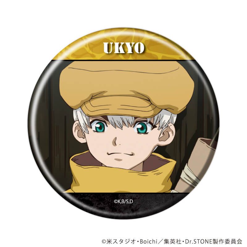 缶バッジ「Dr.STONE」39/コンプリートセット(全11種)(場面写イラスト)