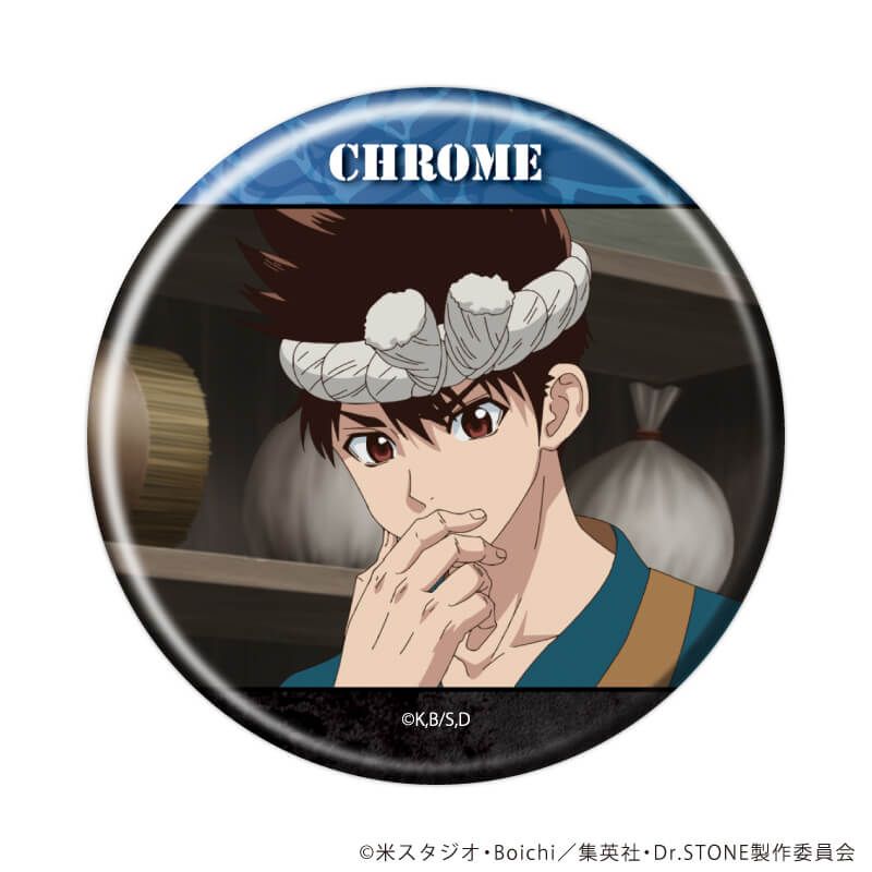 缶バッジ「Dr.STONE」38/コンプリートセット(全11種)(場面写イラスト)