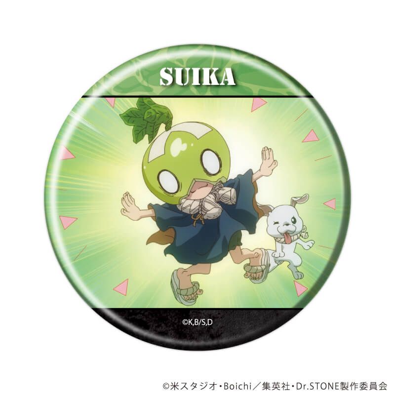 缶バッジ「Dr.STONE」39/ブラインド(11種)(場面写イラスト)