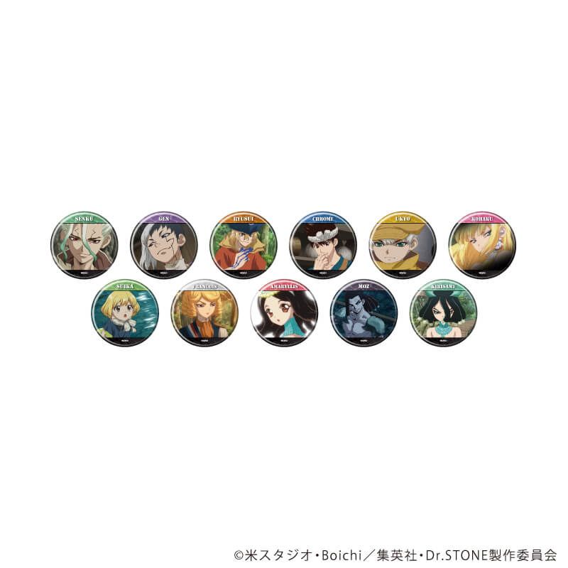 缶バッジ「Dr.STONE」38/ブラインド(11種)(場面写イラスト)