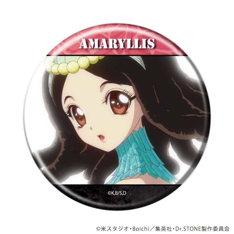 缶バッジ「Dr.STONE」38/ブラインド(11種)(場面写イラスト)