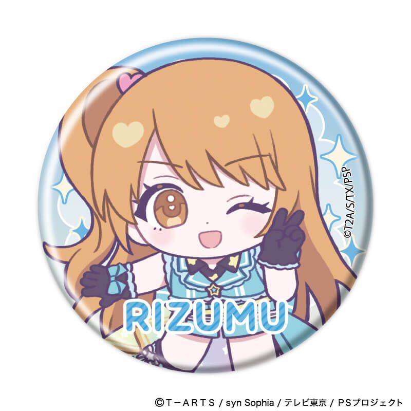 缶バッジ「プリティーシリーズ」01/プリティーリズム・オーロラドリーム コーデアレンジver. コンプリートセット(全6種)(ミニキャライラスト)