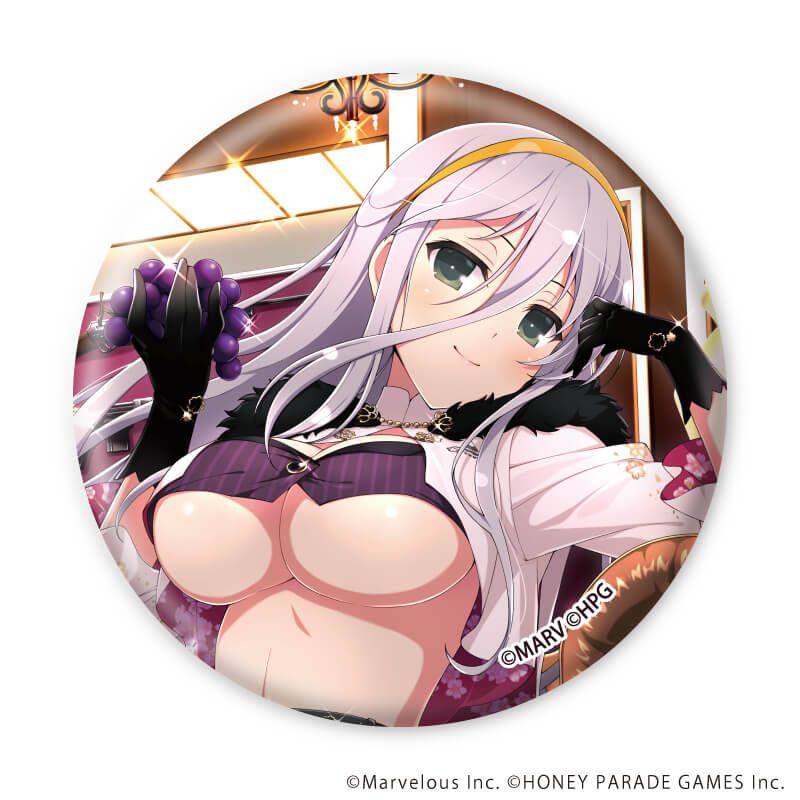 缶バッジ「シノビマスター 閃乱カグラ NEW LINK」19/ブラインド(10種)(公式イラスト)