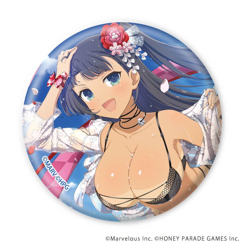 缶バッジ「シノビマスター 閃乱カグラ NEW LINK」19/ブラインド(10種)(公式イラスト)