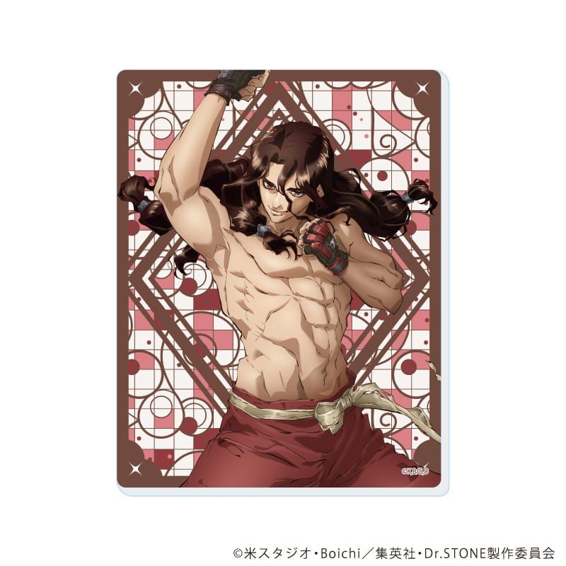 アクリルカード「Dr.STONE」20/RPGver. コンプリートセット(全5種)(描き下ろしイラスト)