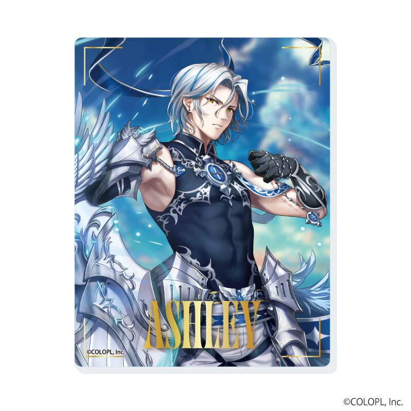 アクリルカード「白猫プロジェクト」04/コンプリートセット(全9種)(公式イラスト)